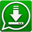 Programikonen: Video Status Downloader