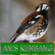 أيقونة البرنامج: Master Kicau Anis Kembang