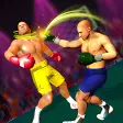 Tag Team Pro: Fighting Game 3D