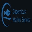 Copernicus-Marine-Toolbox icon