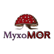 Programikonen: Такси МухоMOR Минск