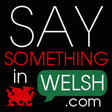 Say Something in Welsh icon