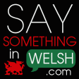 Say Something in Welsh