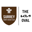程序图标：The Kia Oval