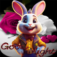 程序图标:Good Night Pictures 2023