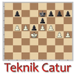 プログラムのアイコン：Teknik Catur
