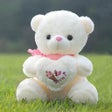 プログラムのアイコン：Cute Teddy Bear Wallpaper