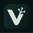 Programikonen: Vibesnap