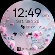 أيقونة البرنامج: Aesthetic Wildflower WF