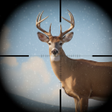 Icon of program: Trophy Hunter – Hunting G…