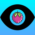 Fruit Spy icon