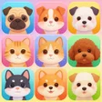 ไอคอนของโปรแกรม: Pawble Match