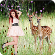 プログラムのアイコン：Wildlife Photo Frame