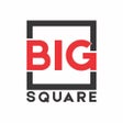 أيقونة البرنامج: BigSquareStore