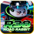 プログラムのアイコン：R38 ROAD RABBIT