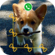 AppLock Live Theme - Corgi icon
