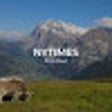 ไอคอนของโปรแกรม: The New York Times (nytim…