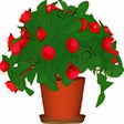 Ikon program: DesktopPlant