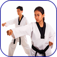 Ikona programu: How to learn taekwondo. T…