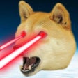 Icoon van programma: DogeCrush To the MOON