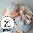 程序图标：Baby Story Photo Editor A…