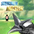 Shuriken Master Training - Roa