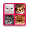 Programikonen: 2048 Cute Cats