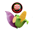 Icoon van programma: KP3K