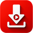 程序图标：Video Downloader