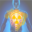 Ícone do programa: Radiologia Aplicada