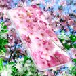 プログラムのアイコン：Sakura Flower Live Wallpa…