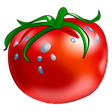 プログラムのアイコン：Tomato Torrent