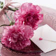 Carnation for Mum - Wallpapers icon