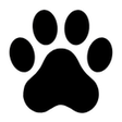 Icon of program: Dogpile Search