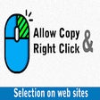 Ikon program: Allow Copy& Right Click