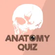 Anatomy  Physiology Quiz