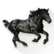 程序图标：Old Town Road Soundboard