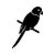 Icon of program: LearnWithParrot