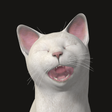 プログラムのアイコン：Piano Cats Free