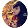 プログラムのアイコン：DP&Profile Status pics
