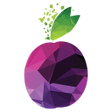 Icoon van programma: Prune: SIM Cards  Travel …