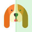 أيقونة البرنامج: DoggyApp - Identify Dog B…