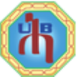 プログラムのアイコン：UBEMobile