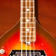 程序图标：Bass Companion