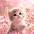 Иконка программы: Cute Cat Wallpaper Live H…