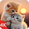 Cute Cat Wallpaper Live HD 4K