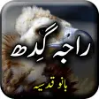Raja Gidh by Bano Qudsia - Urdu Novel Offline