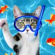 ไอคอนของโปรแกรม: Cat Games for Cats  Pets