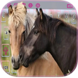 Programikonen: Pony horse love keyboard