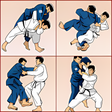 程序图标：judo technique